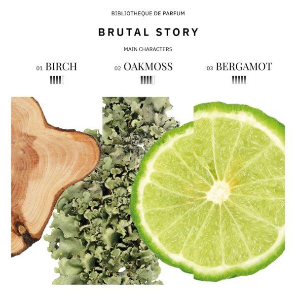 Woda perfumowana męska Bibliotheque de Parfum "BRUTAL STORY" 100 ml - obrazek 5