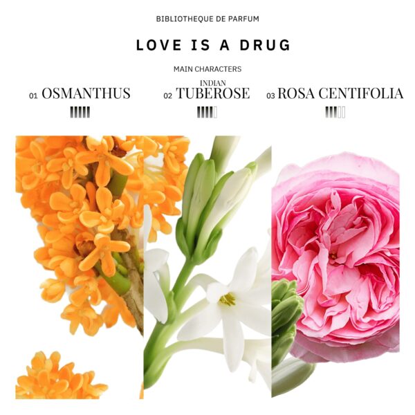 Woda perfumowana "Love Is Drug" Bibliotheque de Parfum 100ml - obrazek 4