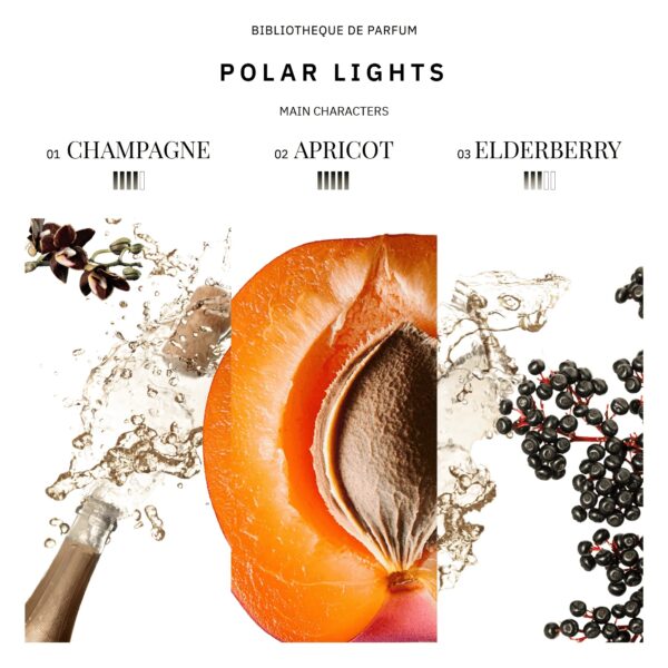 Woda Perfumowana Bibliotheque de Parfum "Polar Lights" 100 ml - obrazek 4