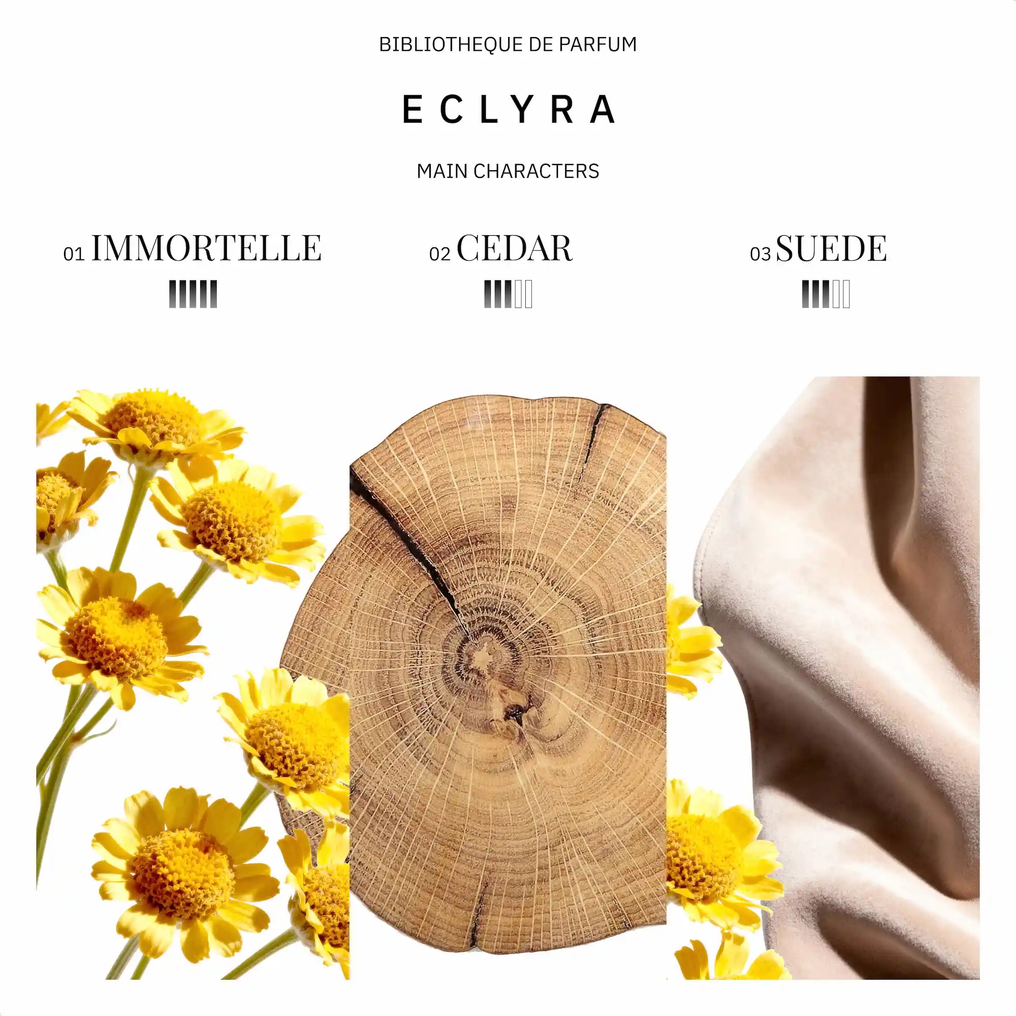 Drzewne i szyprowe perfumy Bibliotheque de Parfum Eclyra z nowej linii Eclypse